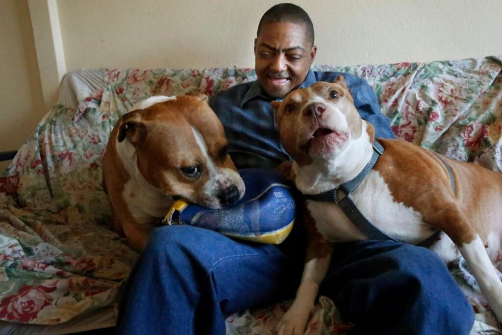 Man sitting on a couch with dogs, smiling.