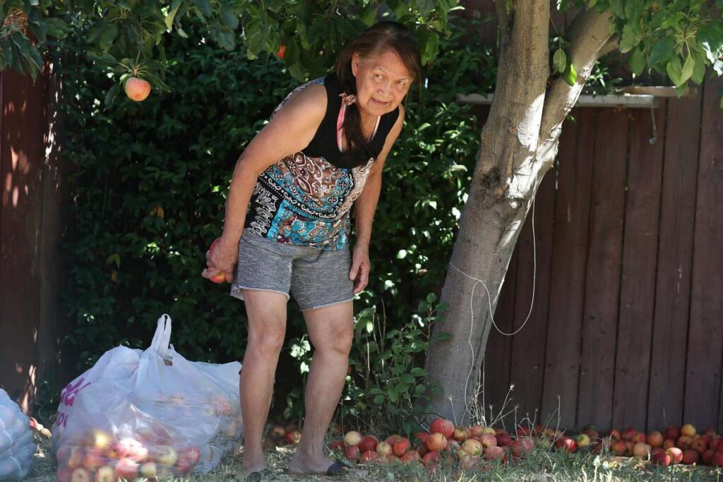Woman smiles in a garden while picking fruit or vegetables.