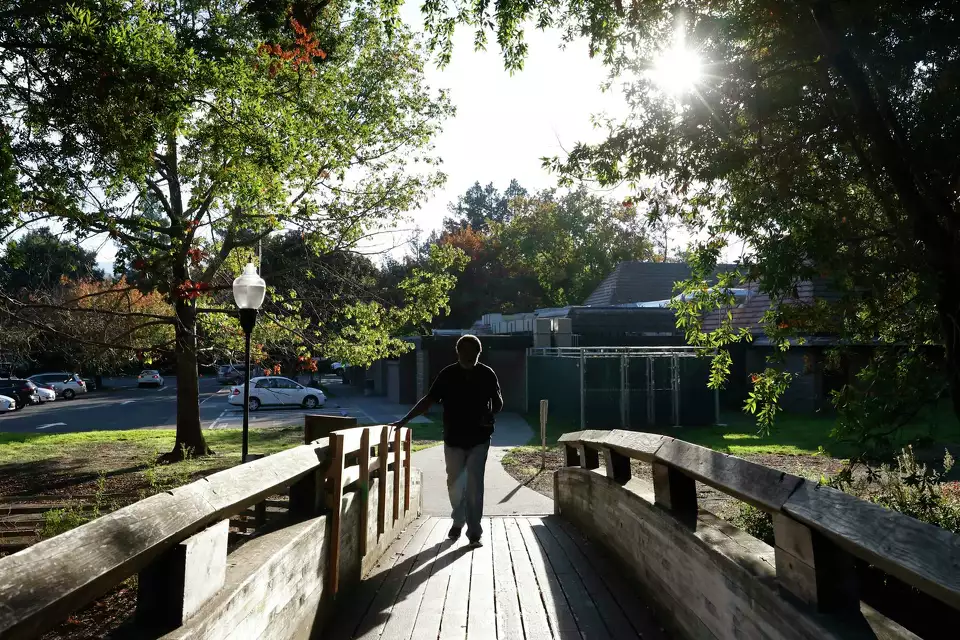 A person walks across a footbridge surrounded by trees—offering peace and natural beauty.