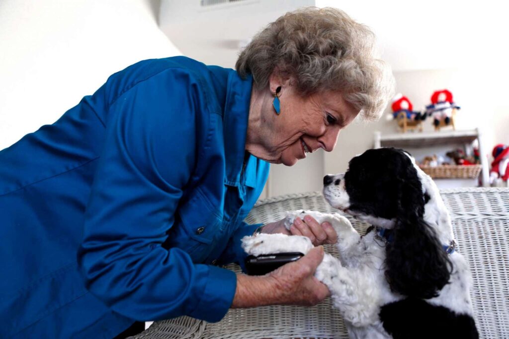 Elderly woman smiling at pet dog on couch.