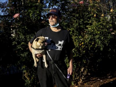 A man stands in a sunny field holding a small dog—portraying peace and companionship in nature.