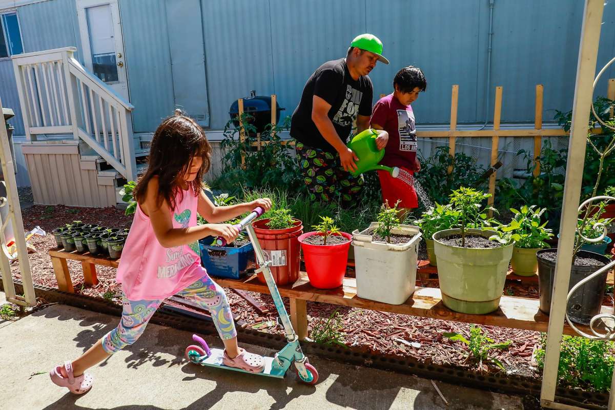 Father and children working together in a garden.