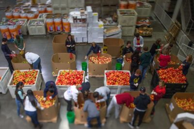 Volunteers sorting produce at food bank.