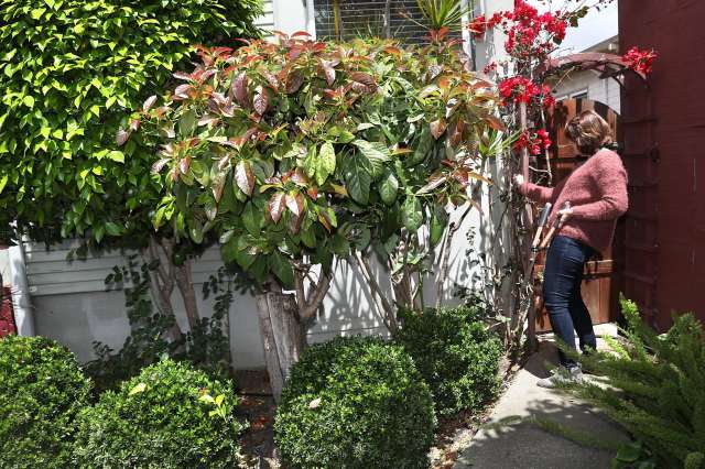 Woman walks through a backyard garden surrounded by trees.