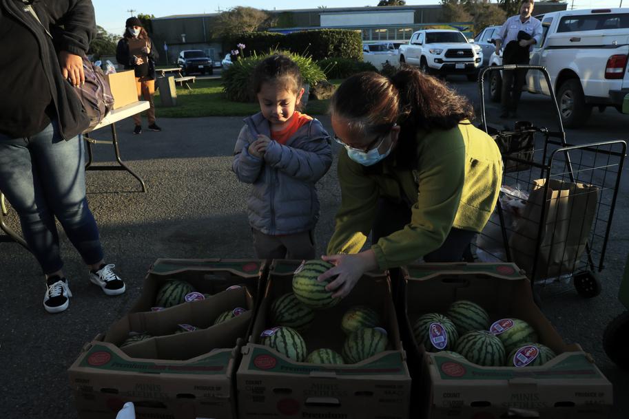 Volunteers work together at an outdoor produce distribution station—showcasing teamwork and nourishment.