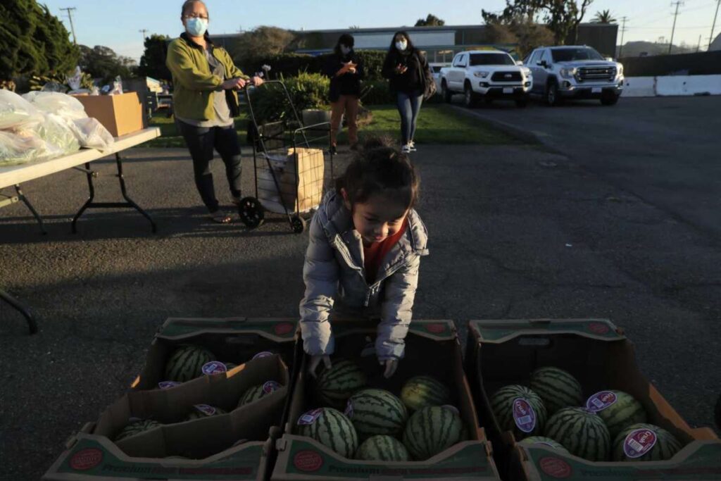 Family at an outdoor produce distribution station—showcasing teamwork and nourishment.