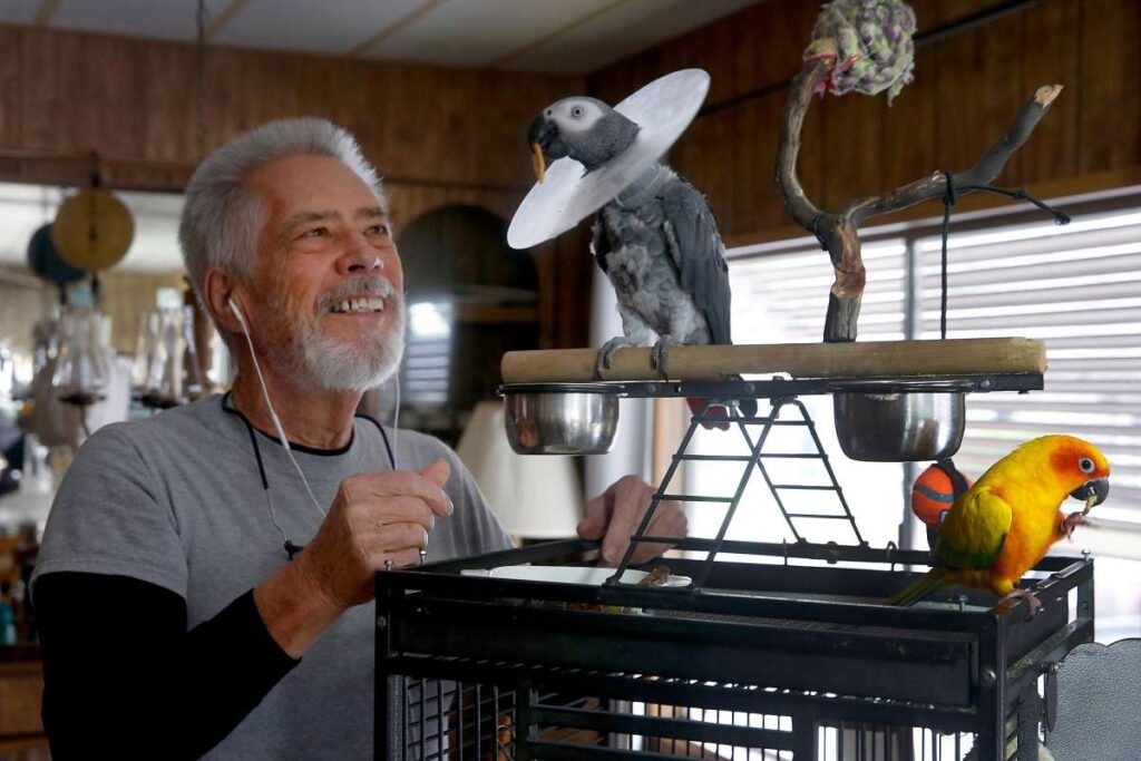 Older man interacts with a parrot perched on a cage.